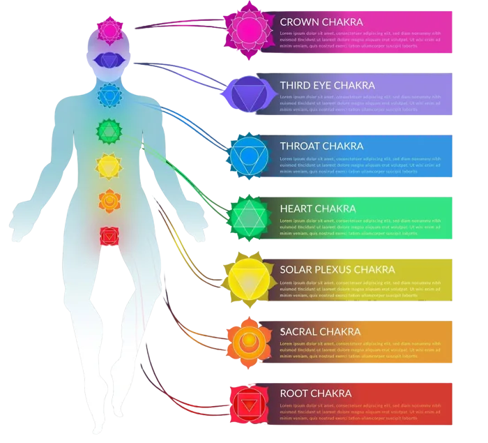 Astro Acharya Pawan consulting with horoscope